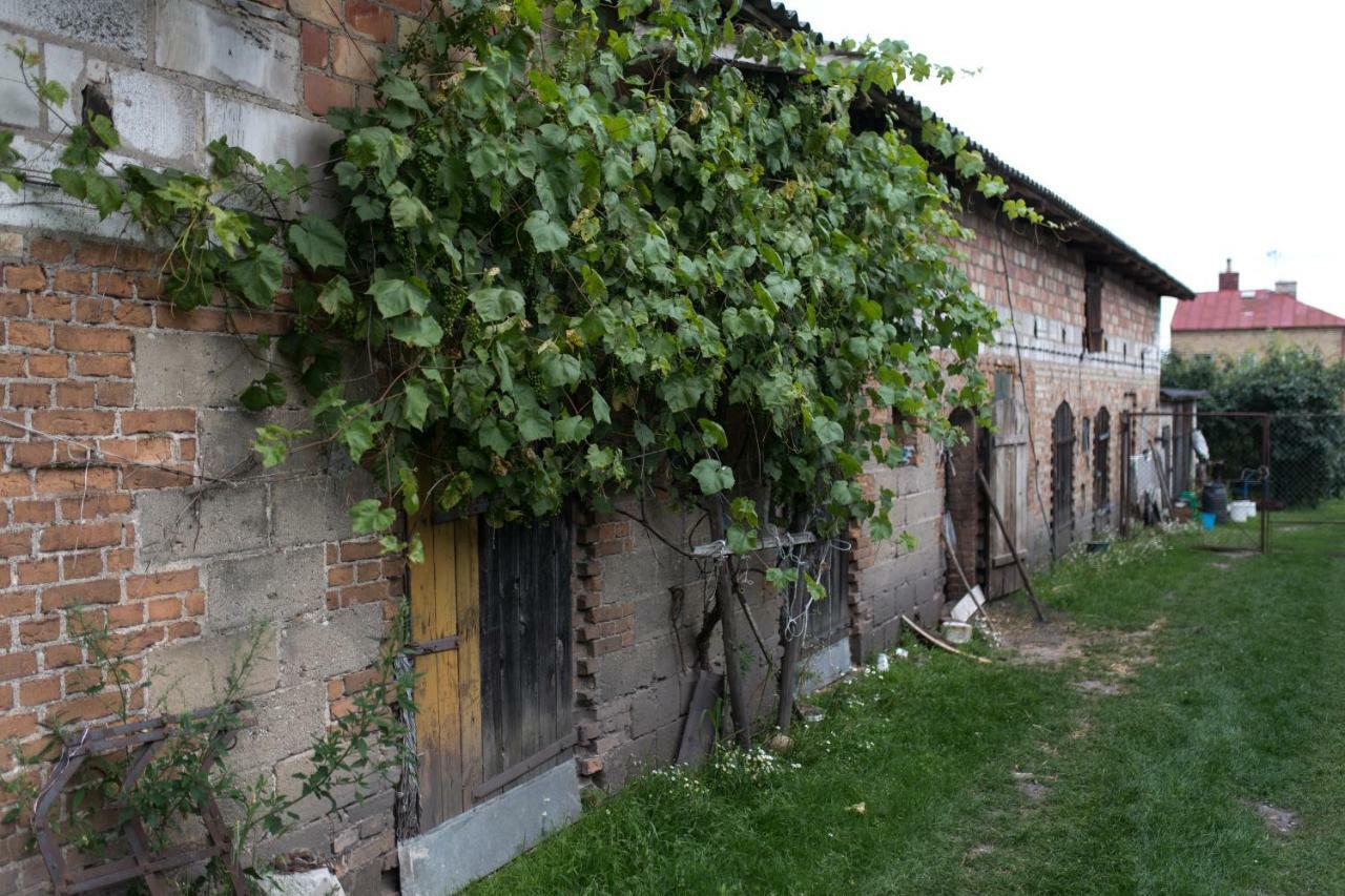 Agroturystyka Karpinscy Wizna Εξωτερικό φωτογραφία